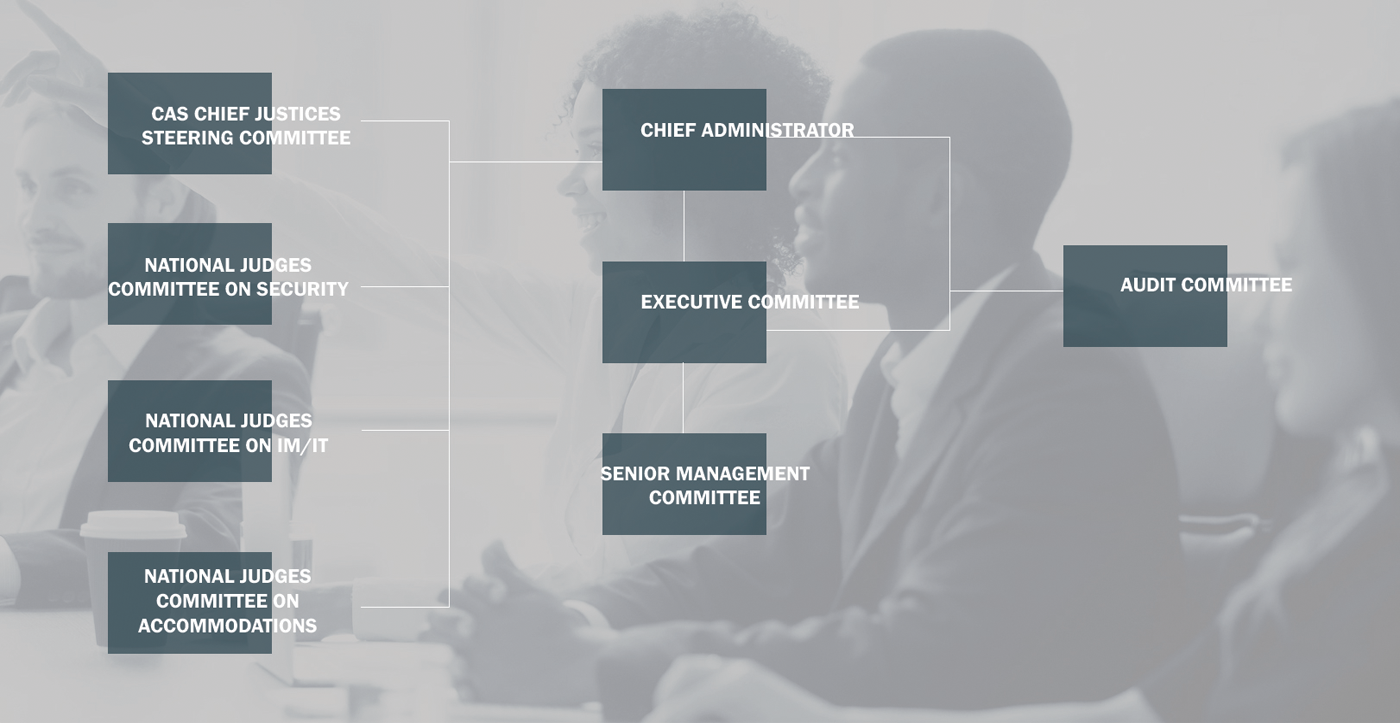 Organizational Structure of the Courts Administration Service