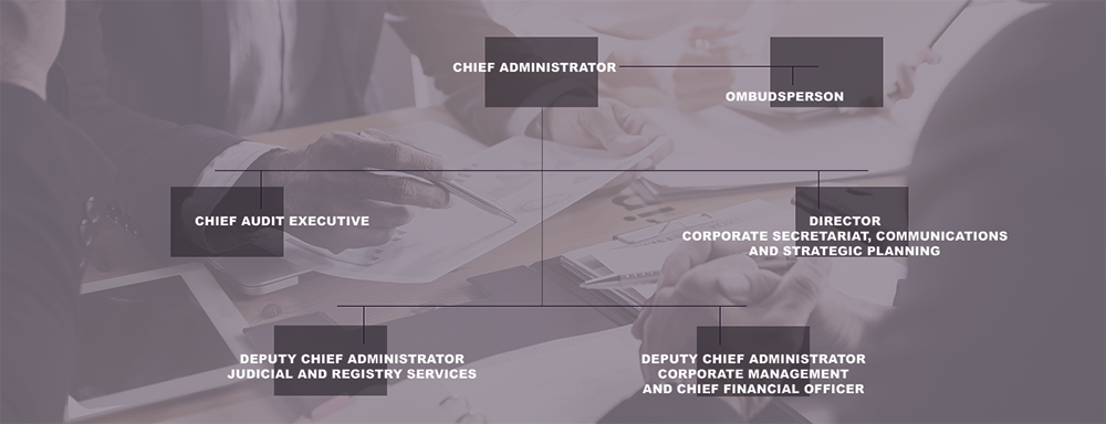 Organizational Structure of the Courts Administration Service